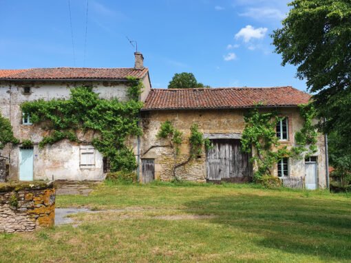 Rénovation d’une maison à l’abandon , Menuiseries sur-mesure, Menuiseries Bildau & Bussmann, Assistance MOA & MOE